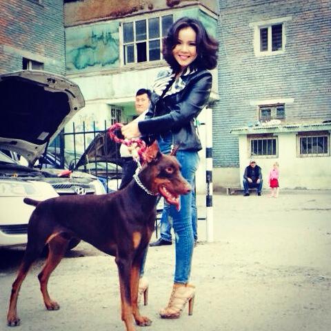 Дуучин А.Хишигдалайн шинэ уран бүтээл “Навч” дууны клип